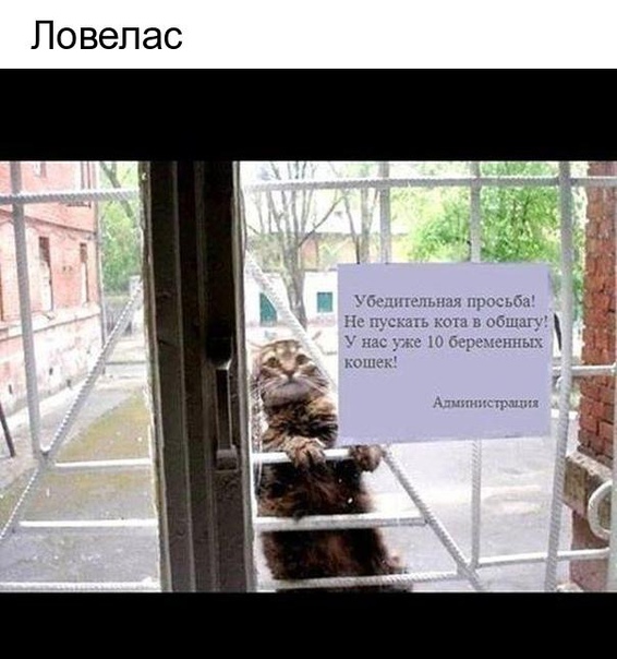 -YyVAkSKmcY.jpg