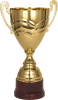 golden_cup_PNG14575.png