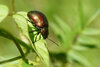 DSC06406.JPG