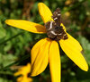 DSC09496.JPG